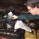 Image for article titled My $800 Jeep Grand Wagoneer Runs For The First Time In 12 Years But My Project Is Still Doomed